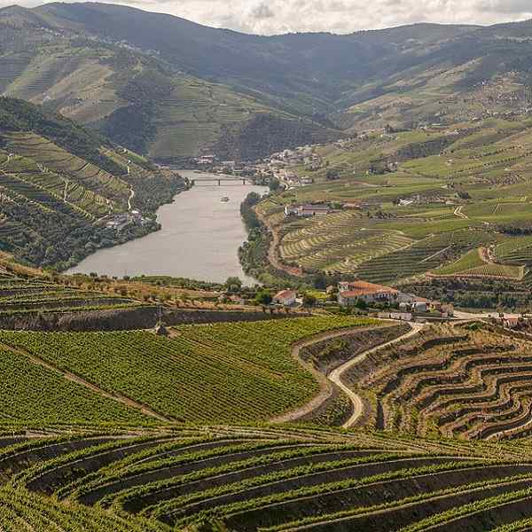 Magical Douro Cruise