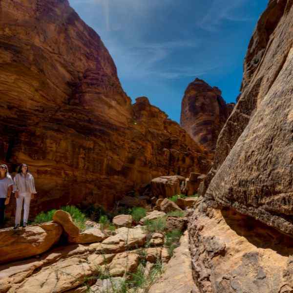 Amazing Saudi Arabia