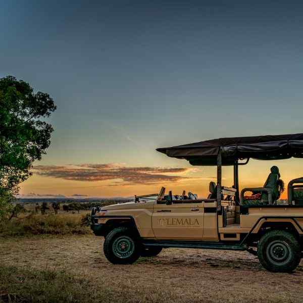 Authentic Tanzania Sky Safari