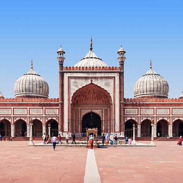 Best of North and South India