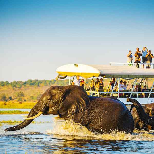 A Journey Through Botswana and Victoria Falls